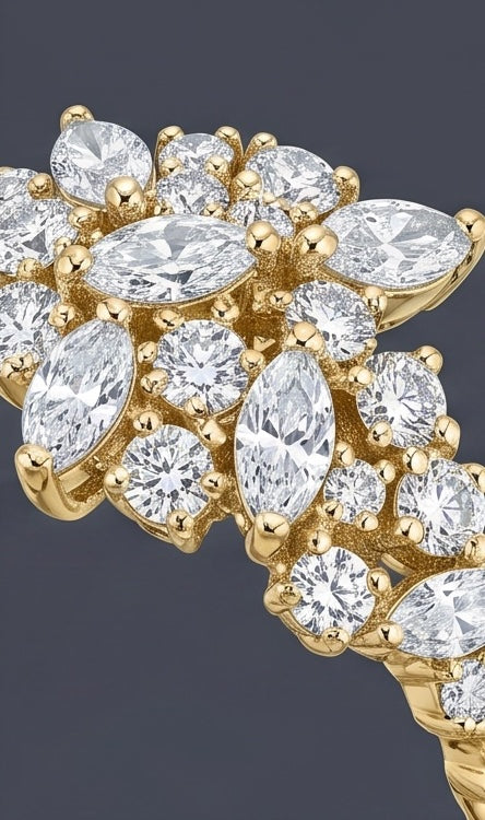 Moliere - Cluster Ring