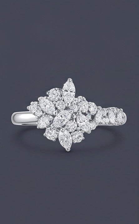 Moliere - Cluster Ring